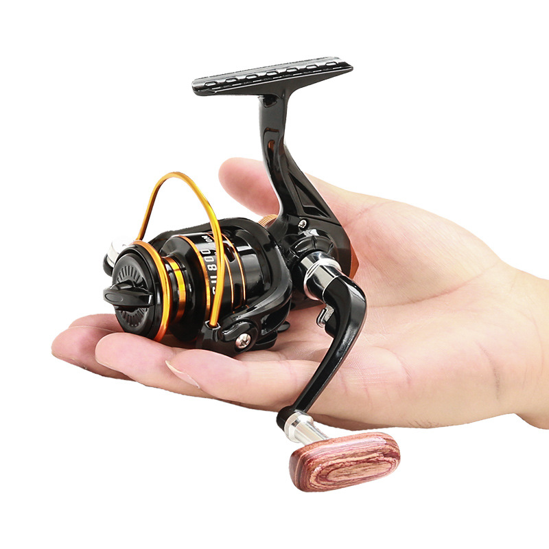 800er Serie Kleine Spinnrolle  – Daiwa Reel Bg Bewertung und Preis