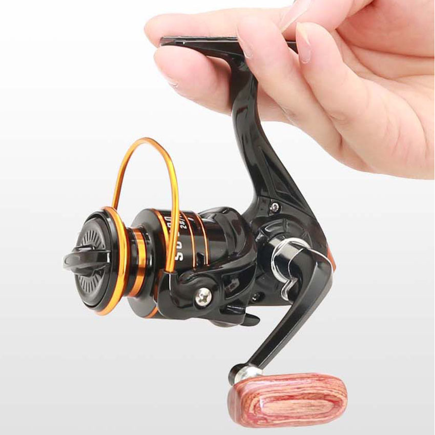 800er Serie Kleine Spinnrolle  – Daiwa Reel Bg Bewertung und Preis